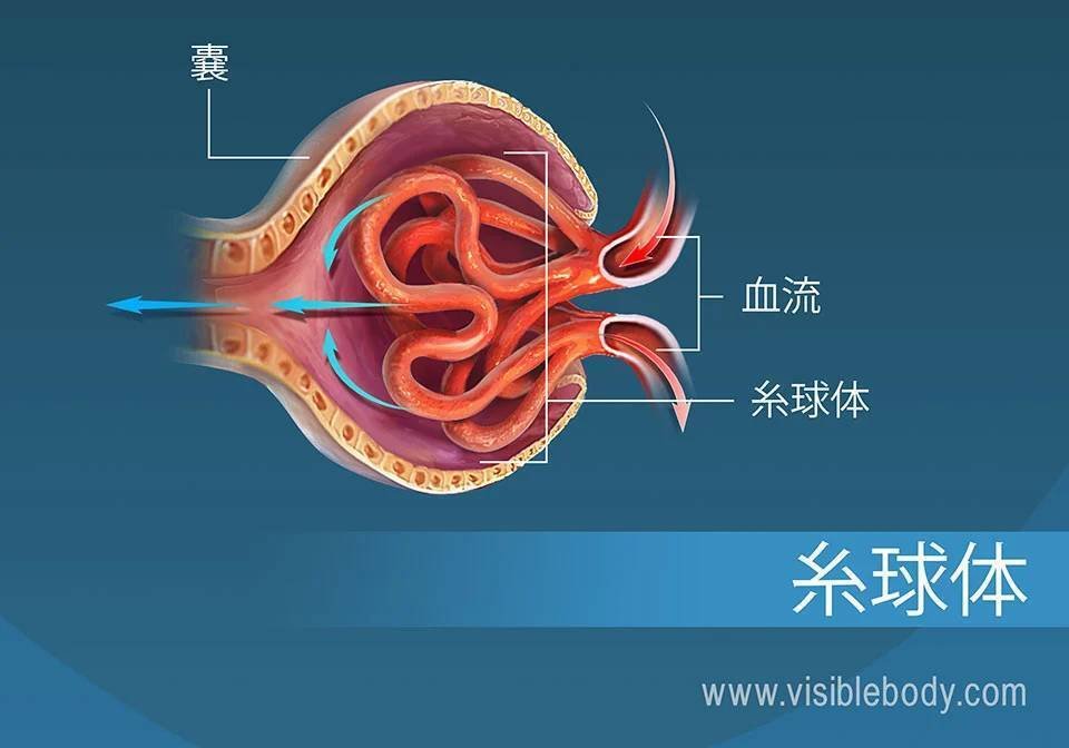 QuickQ｜让每一次连接都更轻快｜QuickQ让每一次连接都更轻快 游戏低延迟